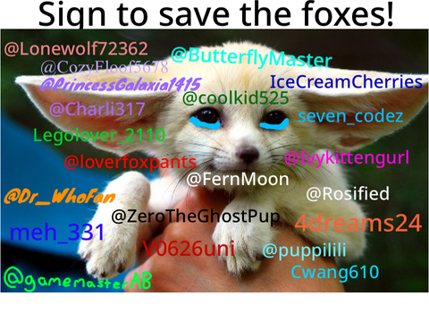 STOP HUNTING FOXES NOW! remix remix