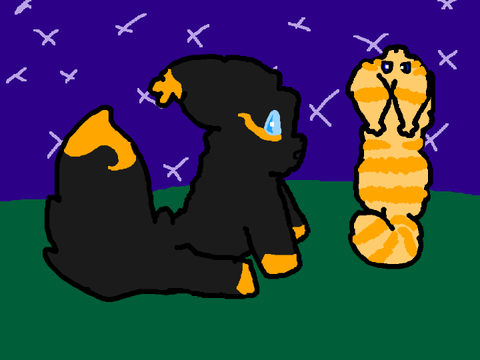 Kittens