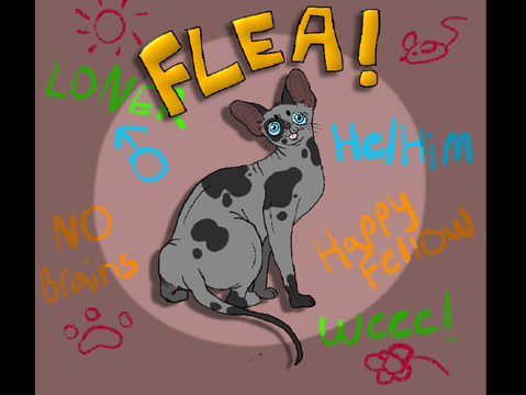 Flea-oc ref