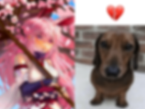                 ⋅˚₊‧ ୨୧ ‧₊˚ ⋅      