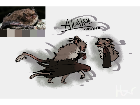 Alcathoe the Cavewing :D