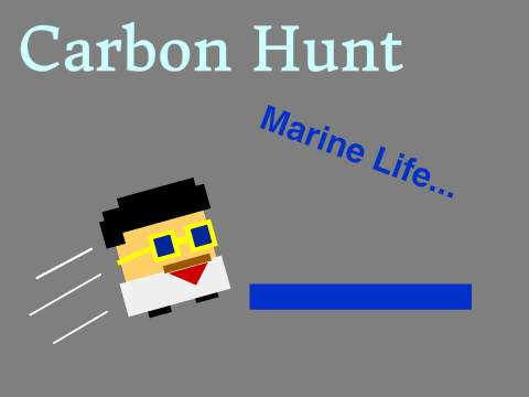 Carbon Hunt, Marine Life