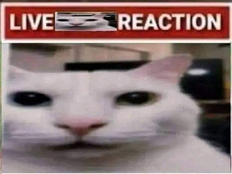 DMCE