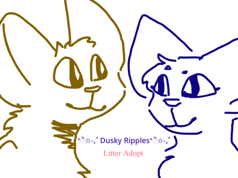 *ੈ✩‧₊˚ Dusky Ripples-*ੈ✩‧₊˚ A CLOSED litter claim!