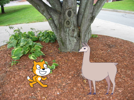 gato y llama