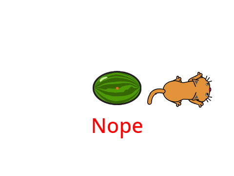 Watermelone gato