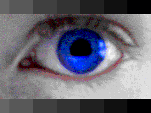 New Avitar