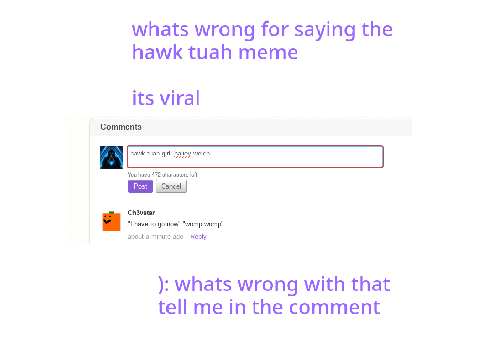 What wrong for saying  hawk tuah meme