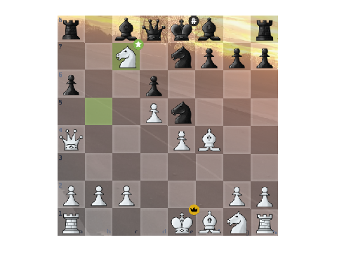 man this checkmate is so cool