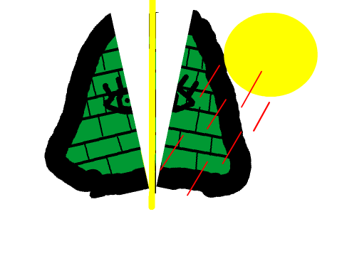 My Animation