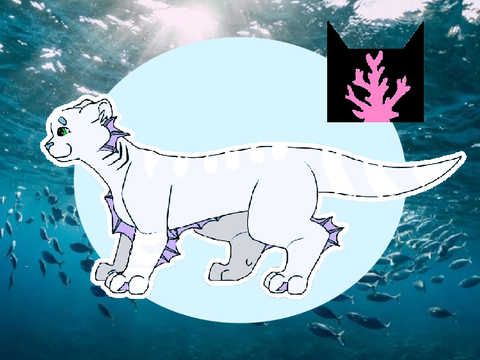 Silverstar | ❝The Silver In The Sea❞
