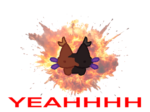 WONDERWAFFLES // meme