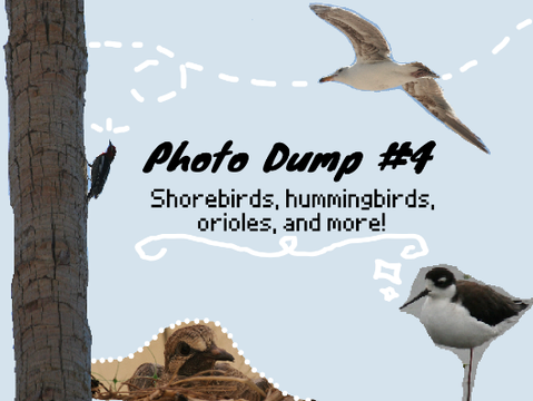 ❀ September | Photo Dump #4 ❀