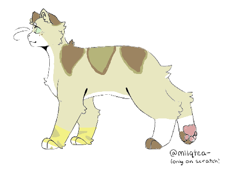 Kit...?