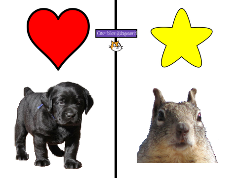 ❤️for dogs ⭐️for squirrels