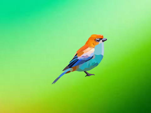 Chestnut-Backed Tanager Blockshade