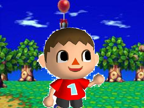 Animal Crossing Wild World Request