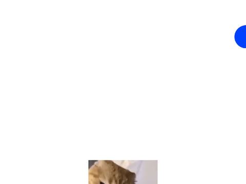 The Full Meme Song (v1)