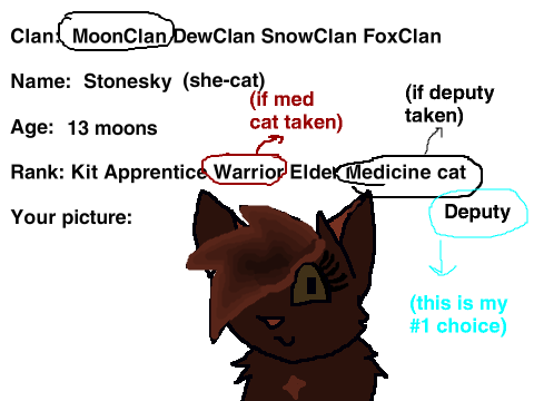 Warrior Clan RPG Cat