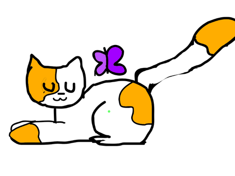 Cat and Butterfly