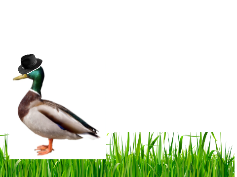 Micheal Jackson duck