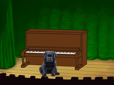 Puppy Piano