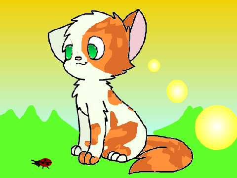 Cat CCE Refined