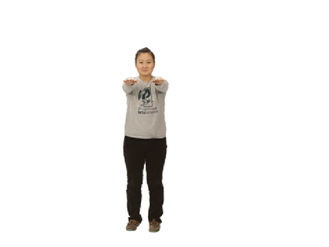  (sister Dances)