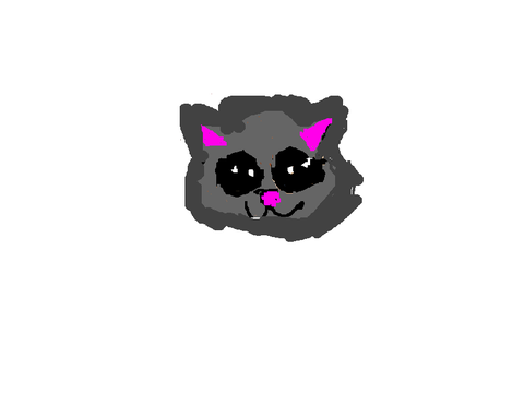 KITTY