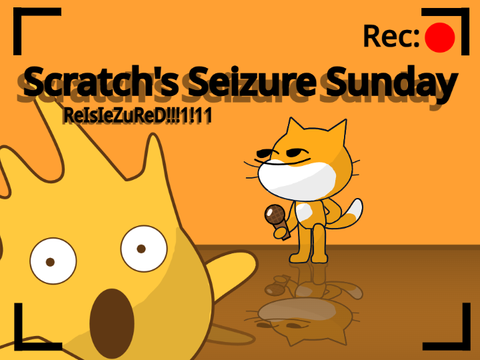 Scratch's Seizure Sunday - Reseizured - Test