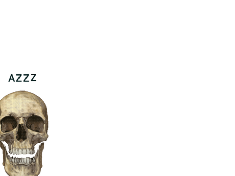 SKULL GAME