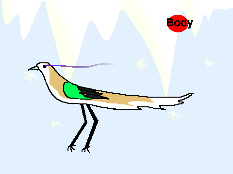 bird creator