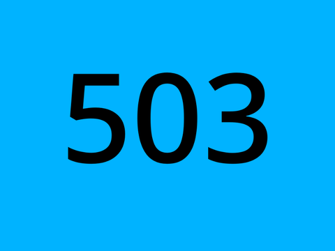Number: 503