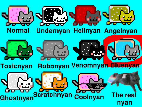 Adpot-A-Nyan! remix