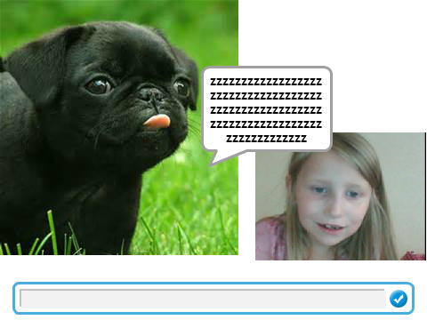 Talk to pug and melond