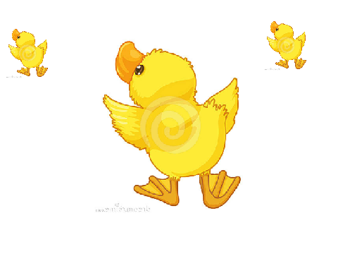 Duck or mouse or bird