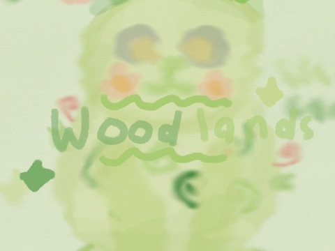 ˚⊹₊˚ ⋆ Woodlands! ˚⊹₊˚ ⋆