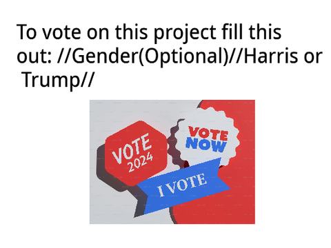 US Scratch 2024 voting poll