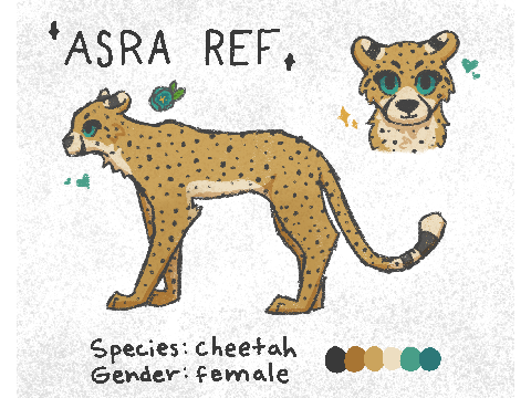 Asra Ref Sheet ❦