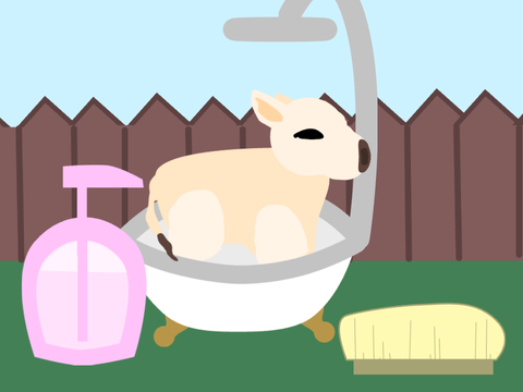 Boo The Cow-Unfinished