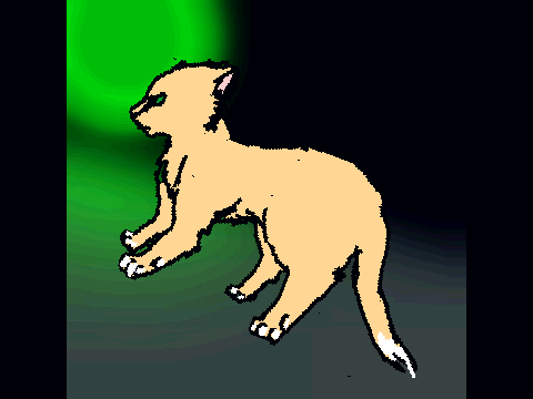 Animation Test