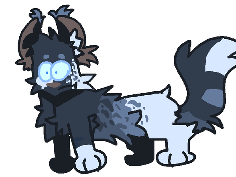 Design practice meow