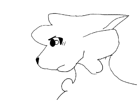 Animation Test/example