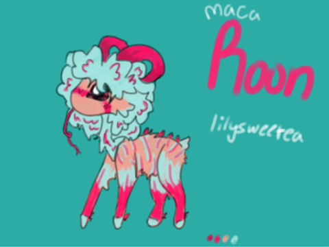 Macaroon - Lankie