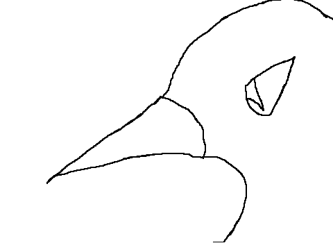 Two birds MAP Part 6