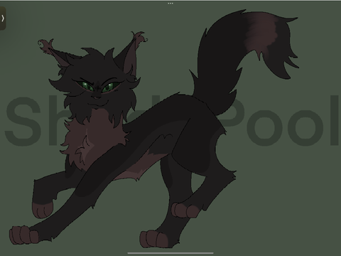 A cat !