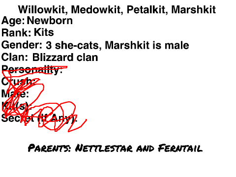 Willowkit, Meddowkit, Petalkit, Marshkit