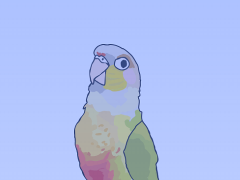 Parrot dance