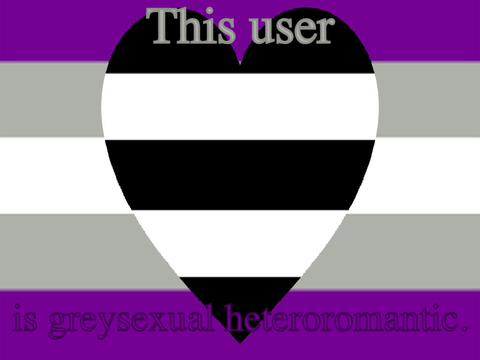 This user is greysexual heteroromantic.
