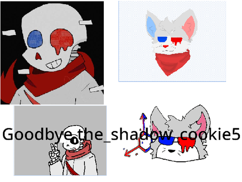 Goodbye Shadow Cokkie5